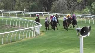 Goondiwindi 20231202 Race 1 [upl. by Lombardo]