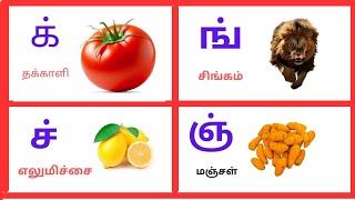 தமிழ் மெய் எழுத்துகள்க்ங்ச்ஞ்Tamil Mei EzhuthukalLearn Tamil Consonant for Kids [upl. by Ahsein646]