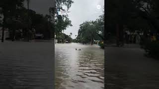 Tropical Storm Debby slams Florida [upl. by Raimundo164]