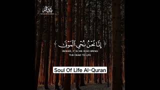 Surah Yasin By Reciter Tariq Mohammed [upl. by Aceissej]