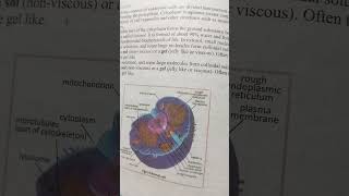 what is cytoplasm cytoplasmcytosol [upl. by Garold259]