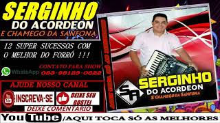 SERGINHO DO ACORDEON E CHAMEGO DA SANFONA CD COMPLETO [upl. by Nalo]