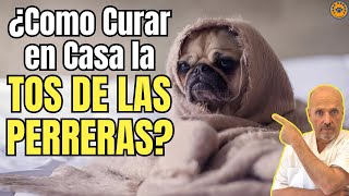 🚨 ¿COMO CURAR LA TOS DE UN PERRO CON TOS DE LAS PERRERAS CON TRATAMIENTO CASERO 🚨 [upl. by Fania642]