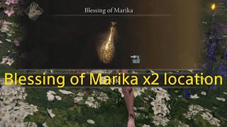 ELDEN RING dlc  Blessing of Marika location [upl. by Noonberg]