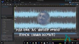 Tadele Bekele amp Woinshet Muluneh  ሸንኮርዬ  Shenkorye [upl. by Leraj]