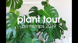 PLANT TOUR 🌿 Toutes mes plantes dintérieur – Printemps 2019 [upl. by Mharba501]