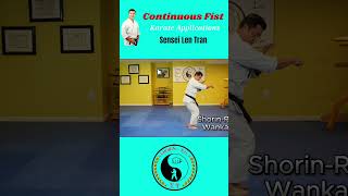 Wankan tutorial kungfu japanesemartialarts karate selfdefense shorinryu [upl. by Ailiec]