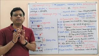 Anticholinergic Drugs I Antimuscarinic Drug  Cholinergic Blocker  Para sympatholytic Drugs HINDI [upl. by Eillim]