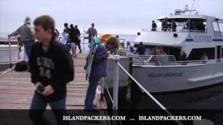 ISLAND PACKERS commercial [upl. by Leahcin246]