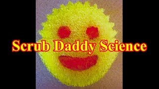 Scrub Daddy Science [upl. by Lledyr]