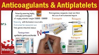 Pharmacology  Anticoagulants and Antiplatelet Drugs FROM A TO Z [upl. by Bond]