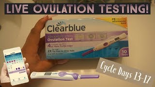 LIVE OVULATION TESTS AFTER CLOMID  CYCLE DAYS 1317  CLOMID ROUND 1  TTC with PCOS [upl. by Godred974]