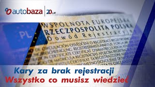 Rejestracja pojazdu 👉 kiedy kara za jej brak❓ Czy auta z USA też muszą przestrzegać terminu [upl. by Chally486]