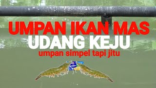 umpan ikan mas udang keju biasamancing2787 [upl. by Daitzman56]