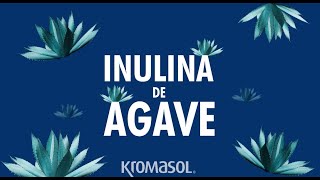 Inulina de agave [upl. by Tobi]