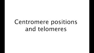 Different positions of the centromere 20 [upl. by Yelkrab]