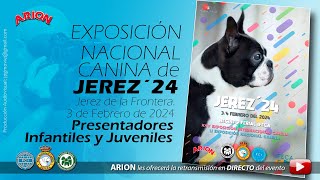 Exposiciones Nacional Canina  Jerez 2024 Infantiles y Juveniles [upl. by Schindler]