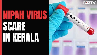 Kerala On Alert After Nipah Virus Outbreak [upl. by Lauhsoj]