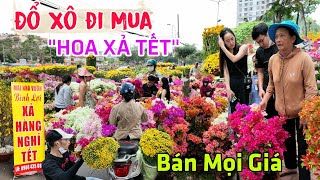 Cơn Sốt GIÁ HOA TẾT 2024  Người dân đổ xô đi mua với GIÁ CHƯA TỪNG CÓ công viên Gia Định [upl. by Asenav188]