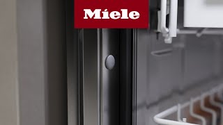 Lavastoviglie  Sostituzione del tappo I Miele [upl. by Dulce466]