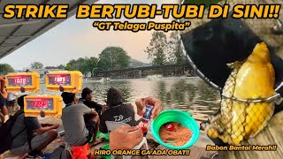 Babon Merah Terangkat  Eksekutif tiket 4 Jt  GT Puspita Molek [upl. by Constantino]