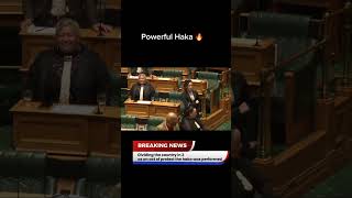 Powerful Haka in Parliament [upl. by Silin]