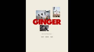 BROCKHAMPTON  GINGER WEBSITE SHOWCASE brockhampton ginger 2019 [upl. by Gussy]