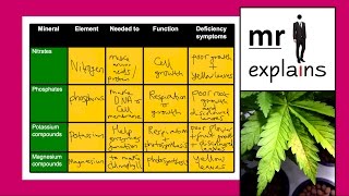 mr i explains Mineral Deficiency in Plants [upl. by Nabetse407]