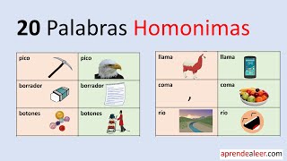 20 ejemplos de palabras homonimas y su significado [upl. by Candra]