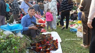 Robert sold a lot of chickens to prepare get married Green forest life [upl. by Riorsson934]