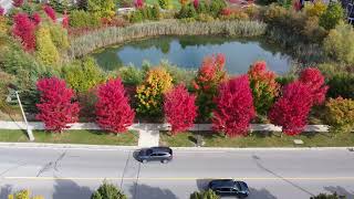 Colorful Stouffville [upl. by Maje]