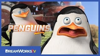 Nerves Of Steel  Spy Training  NEW PENGUINS OF MADAGASCAR [upl. by Eppie200]