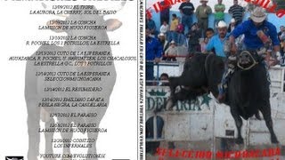 JARIPEOS EN MICHOACAN DICIEMBRE 2012 DVD1 [upl. by Adnofal550]