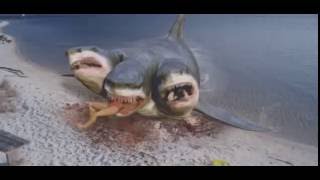 3 Headed Shark Attack VFX By Steve Clarke amp Paul Knott [upl. by Oetam]