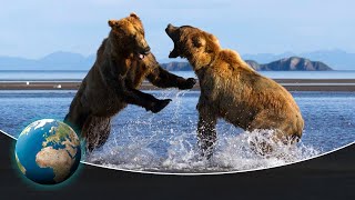 Fighting Grizzlies amp Hunting Wolf Packs in Americas first National Park  Yellowstone [upl. by Oleic]