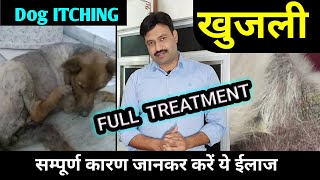 dog ko khujli kyu hoti hai कुत्ते को खुजली हो तो क्या करें dog ki khujli ki medicine dawa dogitching [upl. by Esten]