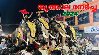 Thrithala fest full video Thrithala Nercha 2024 [upl. by Schwitzer]