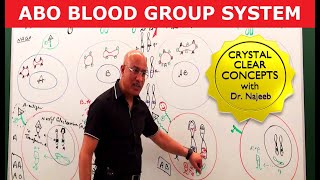 ABO Blood Group System  Blood Types amp ABO Antigens👨‍⚕️ [upl. by Sulecram]