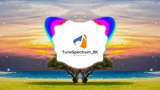 Mix  Time Of Our Lives amp PLVTO  Are You With Me music to study amp relax TuneSpectrum8K [upl. by Haduj153]