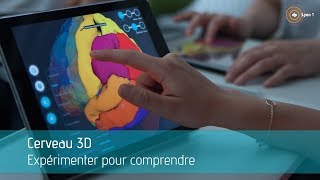 Cerveau 3D  les applications pédagogiques de Lyon 1 [upl. by Leynad930]