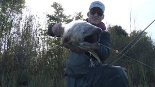 906 Outdoors  Fishing Fall Steelhead and Salmon [upl. by Coad]