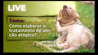 MED VET Como elaborar o tratamento para um cão atópico [upl. by Tcideneb]