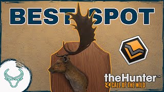 Hirschfelden Fallow Deer Guide TheHunter Call Of The Wild 2023 [upl. by Ontine172]