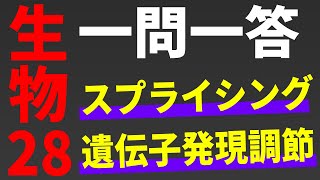 【生物 一問一答】スプライシング・遺伝子発現調節【第28講】 [upl. by Svensen]