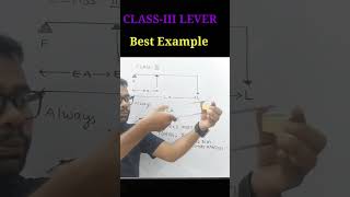 CLASSIII Levers Best Examples demonstration icseboard class10physics physicsfun physics [upl. by Broeder312]