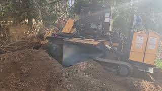 Bandit Stump Grinder Chewing Through Uprooted Tree Stump [upl. by Mackoff]