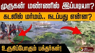 முருகன் மண்ணில் இப்படியா கடலில் மர்மம் நடப்பது என்ன  உருகிப்போகும் பக்தர்கள்  Thiruchendur [upl. by Pare24]