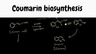 Shikimate pathway part 9  Coumarin biosynthesis [upl. by Richma411]