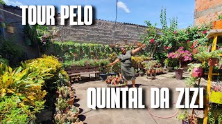 TOUR PELO QUINTAL DA ZIZI UM QUINTAL COM VÁRIAS ESPÉCIES DE PLANTAS  PLANTAS DE SOL E DE SOMBRA [upl. by Giacobo]