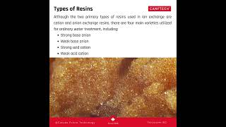 Differences between Cation and anion exchange resins [upl. by Branen]